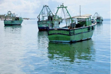 சட்டவிரோத மீன்பிடி - முல்லைத்தீவில் நான்கு கடற்தொழிலாளர்கள் கைது