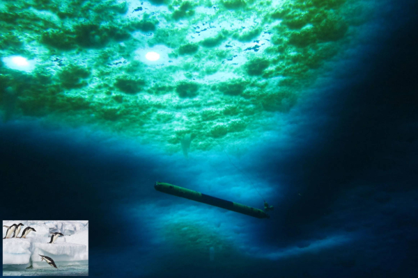 scientists discover hidden world of antarctica