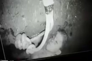 4 நாட்களாக ஆழ்துளை கிணற்றுக்குள் சிக்கித் தவிக்கும் சிறுவன்! நாட்டையே கலங்கவைத்துள்ள சம்பவம்..