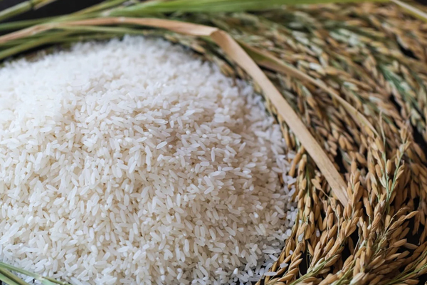 29 இலட்சம் குடும்பங்களுக்கு இலவச அரிசி | Free Rice For 29 Lakh Families29