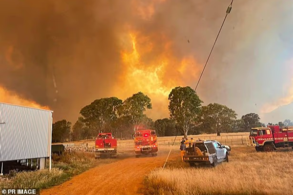 otways bushfire urges leave now warning