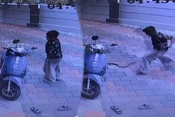 Viral Video: பாம்பு கடியிலிருந்து நூலிழையில் தப்பிய சிறுவன்... நடுநடுங்க வைக்கும் காட்சி