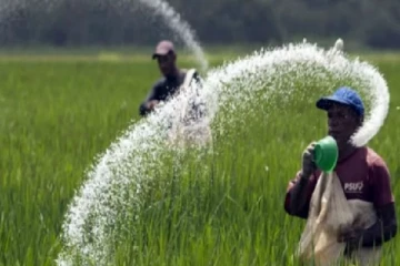 இந்தியாவிலிருந்து விவசாயிகளுக்கு வந்த மகிழ்ச்சியான செய்தி