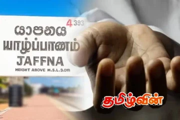 யாழில் மின்சாரம் தாக்கி இளைஞர் உயிரிழப்பு