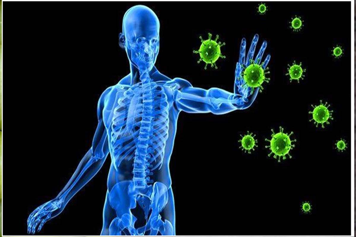 வேக வைத்த நெல்லிக்காய் தினமும் 1 சாப்பிடுங்க... உடலில் நடக்கும் மாற்றங்கள் | Benefits Of Eating Streamed Amla One A Day வேக வைத்த நெல்லிக்காய் தினமும் 1 சாப்பிடுங்க... உடலில் நடக்கும் மாற்றங்கள் | Benefits Of Eating Streamed Amla One A Day