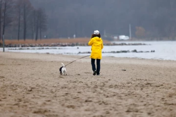 கோடை நன்றாக இருக்கும்... ஜேர்மன் மாகாணங்களில் நான்கில் ஒன்றில் பெருமளவில் கொரோனா தொற்று குறைந்துள்ளது கண்டுபிடிப்பு