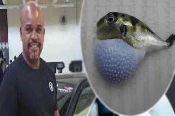 மீன் சாப்பிட்டு உயிரிழந்த நபர்... சயனைடை விட விஷம் கொண்ட மீனைப் பற்றி தெரியுமா?