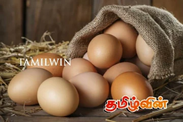 சடுதியாக வீழ்ச்சியடைந்த முட்டை விலை