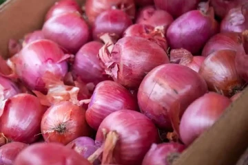 இந்தியாவில் இருந்து இறக்குமதி செய்யப்படவுள்ள வெங்காயம்