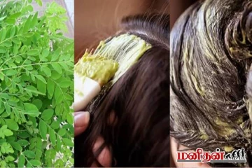 தலைமுடிக்கு முருங்கை கீரை ஹேர் மாஸ்க் - இதை போட்டால் என்ன நடக்கும்?