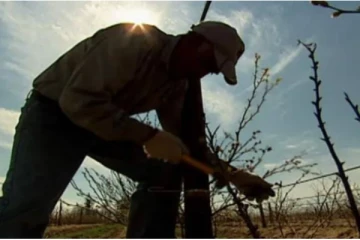புலம்பெயர்ந்தவர் கனடாவில் வேலை செய்வதாக நம்பிகொண்டிருக்கும் குடும்பத்தினர்: அவர்களுக்குத் தெரியாத துயர செய்தி