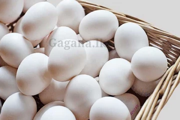 නැවත බිත්තර ආනයනයට අවසර.. බිත්තර මිල අඩු කිරීමටත් පියවර..