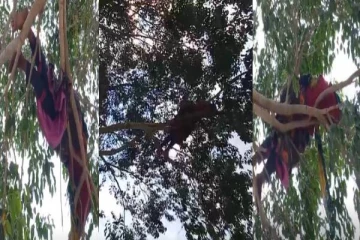 ‘என்னா ஒய்யாரத்துல படுத்துருக்காங்க பாருங்க’ - மரக்கிளையின் மேல் ரூம் போட்டு படுத்திருப்பது போல் படுத்து உறங்கும் பெண்