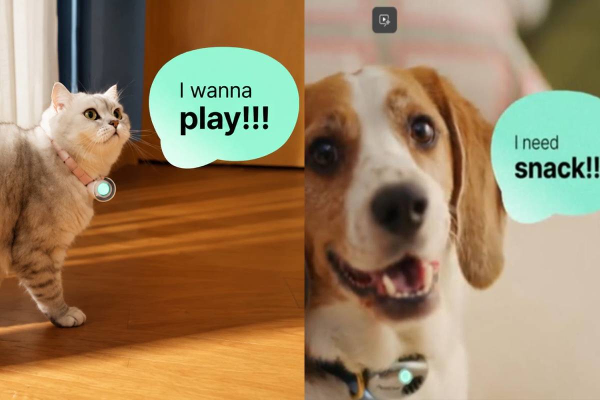 செல்லப்பிராணிகளின் ஒலியை மொழிபெயர்க்கும் AI கருவி | China Startup Claims Ai Collar Translate Pet Sound