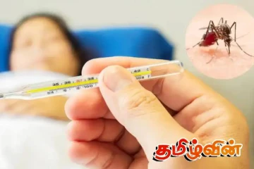 அதிகரிக்கும் டெங்கு நோயாளர்களின் எண்ணிக்கை!