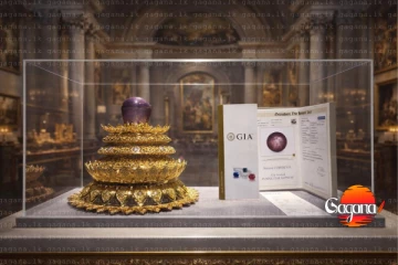 ලොව විශාලතම තරු නිල් මැණික කොළඹදී ප්‍රදර්ශණයට