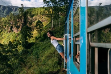 ஈ-டிக்கெட் மோசடி; கைதான சுற்றுலா வழிகாட்டிக்கு பிணை