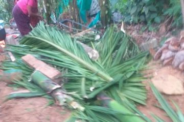 பாக்குமரம் ஏறியதால் பறிபோன உயிர்