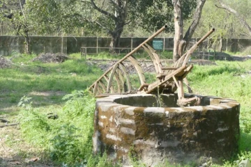 தண்ணீர் எடுக்க சென்ற சிறுமி கிணற்றில் விழுந்து பலி