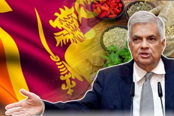 ஆயுர்வேதத்தை மருத்துவ விஞ்ஞானமாக்குவதே எனது நோக்கம்: ஜனாதிபதி ரணில் விக்ரமசிங்க