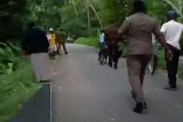 பிரதி அதிபர் மீது துப்பாக்கி சூடு தொடர்பில் 4 பொலிஸ் குழுக்கள் நியமனம்! | 4 Police Teams Shooting Of The Vice President