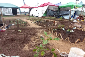 கோட்டா கோ கம போராட்டக்களத்தில் மற்றுமொரு புதிய அம்சம்(Photo)