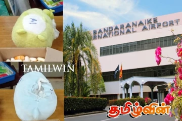 கட்டுநாயக்க விமான நிலையத்தில் பொம்மைகளுடன் சிக்கிய வெளிநாட்டவர்