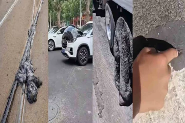 ஐரோப்பிய நாடுகளை வாட்டும் வெப்பம் : பலி எண்ணிக்கை 1300 ஆக உயர்வு