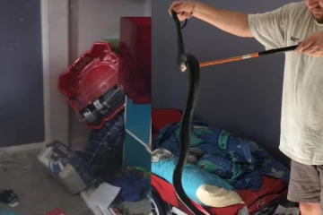 பொம்மைகள் குவிந்திருந்த வீட்டின் அறையில் விசித்திரமாக கேட்ட சத்தம்! அலமாரியில் தம்பதி கண்ட காட்சி