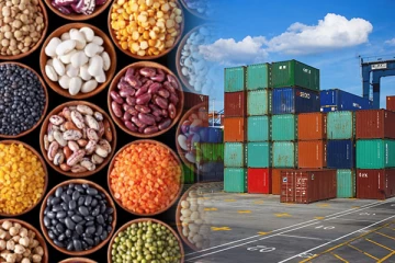 இலங்கையிலிருந்து முதன்முதலாக வெளிநாடுகளுக்கு ஏற்றுமதி செய்யப்படவுள்ள விதைகள்