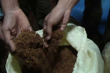 சுமார் 10 மில்லியன் ரூபா பெறுமதியான கழிவுத் தேயிலை கொள்கலன் ஒன்று பறிமுதல்