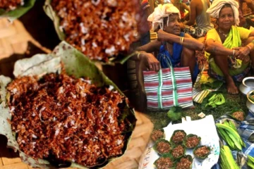 சிவப்பு எறும்பு சட்னி தெரியுமா? வியக்கவைக்கும் பழங்குடியின உணவு