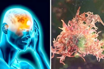 மூளையை உண்ணும் அமீபா... 2 வயது சிறுவன் அடுத்த பலி