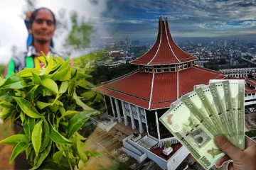 பெருந்தோட்டக் கம்பனிகள் தாக்கல் செய்துள்ள முறைப்பாடு: மேன்முறையீட்டு நீதிமன்றம் வழங்கியுள்ள தீர்ப்பு