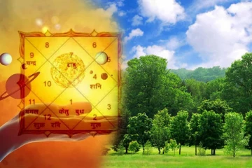 வீட்டில் உள்ள நிம்மதியை கெடுக்கும் 5 மரங்கள்