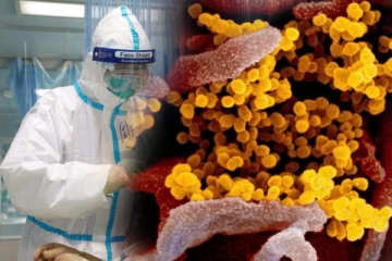 சீனாவில் வேகமாக பரவும் புதிய வைரஸ்; அச்சத்தில் உலக நாடுகள்