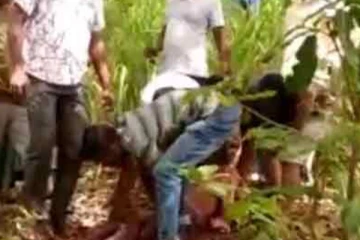 හත් හැවිරිදි දරුවාට කැත්තෙන් කෙටු සැකකරු අල්ලයි