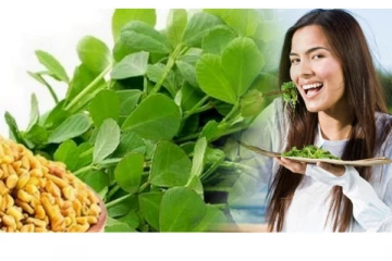 3 அடியில் வளரும் வெந்தயக் கீரையை தொடர்ந்து சாப்பிட்டால் கிடைக்கும் நன்மைகளை தெரிந்து கொள்ளுங்கள்!