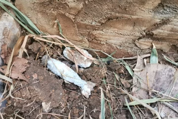 வவுனியாவில் வெடிகுண்டுகள் மீட்பு (Video)