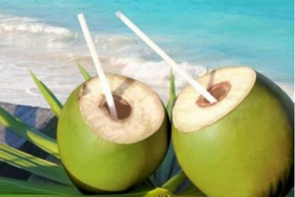 எண்ணற்ற நன்மைகளை வரி வழங்கும் இளநீர்! | Young Water That Provides Countless Benefits