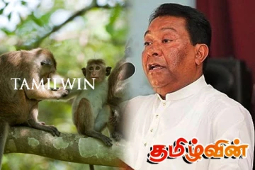 குரங்குகளை கொலை செய்வதில் தவறில்லை – எஸ்.பி. திஸாநாயக்க