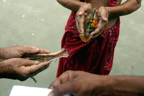 இன்று  தை அமாவாசை தினம்!  பித்ருக்களின் ஆசி பெற  இவற்றினை செய்யுங்கள் | Today Is The Day Of The New Moon Do These To Get