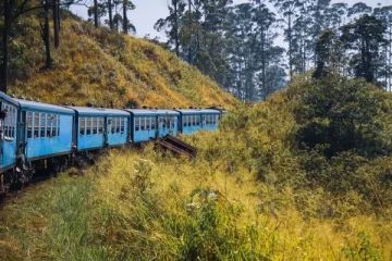 புகையிரம் மோதி இளம் யுவதி பரிதாப உயிரிழப்பு