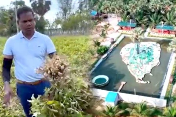 முற்றுமுழுதாக இயற்கை முறையிலான விவசாயம்!கச்சான் பிரியர்களுக்கான காணொளி(Video)