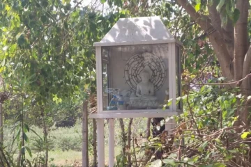 யாழில் அடாத்தாக வந்தமர்ந்த புத்தருக்கு சிக்கல்!