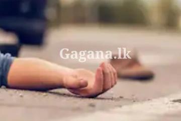 රියදුරුට මරණය අත් වී, දෙදෙනෙක් රෝහල්ගත කළ බිහිසුණු අනතුර.