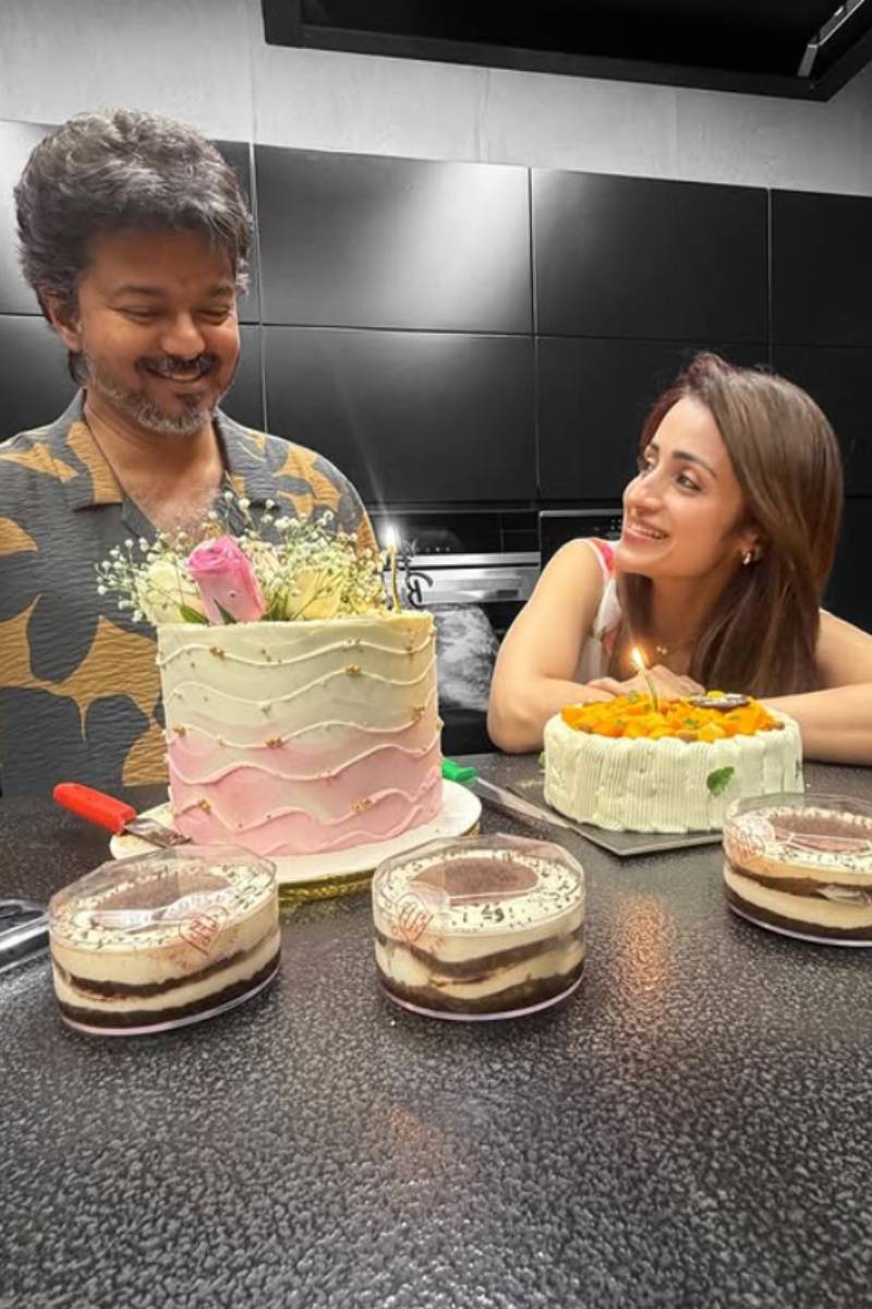 விஜய் மற்றும் நடிகை திரிஷாவின் புகைப்படங்கள் | Cm Vijay And Actress Trisha Controversial Photos