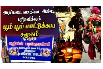 அடிப்படை வசதி கூட இல்லை.. பரிதவிக்கும் பூம் பூம் மாட்டுக்கார சமூகம்