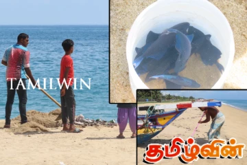 துர்நாற்றம் வீசும் மருதமுனை கடற்கரை பகுதிகள்