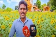 யாழில் பட்டதாரி இளைஞனின் வியக்க வைக்கும் சூரியகாந்தி தோட்டம்
